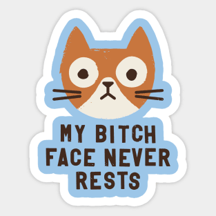 Why the Wrong Face? (cat version) Sticker
